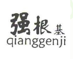 强根基