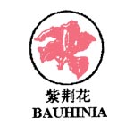 紫荆花 BAUHINIA及图+图形