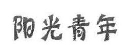 阳光青年  