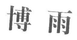 博雨