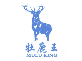 幽谷王;YOGO KING+图形