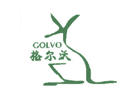 格尔沃；GOLVO+图形