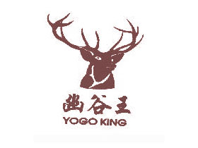 幽谷王;YOGO KING+图形