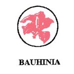 BAUHINIA及紫荆花图+图形