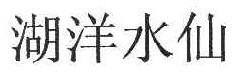 湖洋水仙 