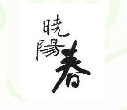 晓阳春