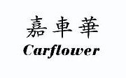 嘉车华 CARFLOWER  