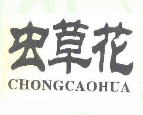虫草花 