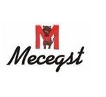 MECEGST M   