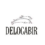  DELOCABIR 