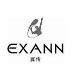翼传EXANN 