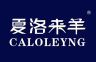 夏洛来羊 CALOLEYNG 