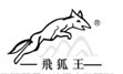  飞狐王 