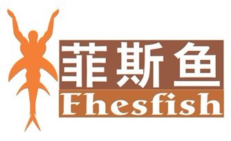  菲斯鱼 FHESFISH 