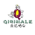 丘比哈乐 Q 