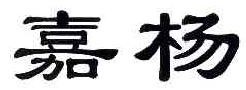 嘉杨  