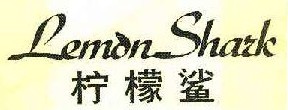 柠檬鲨 LEMON SHARK 