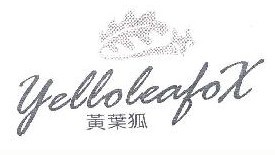黄叶狐YELLOLEAFOX 