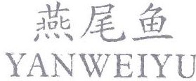 燕尾鱼
