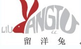 留洋兔