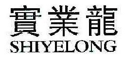 实业龙