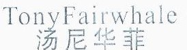 汤尼华菲