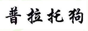 普拉托狗