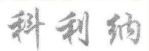 科利纳