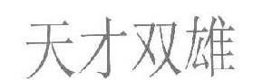 天才双雄