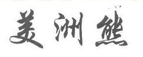 美洲熊