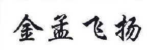 金孟飞扬