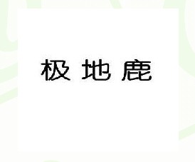 极地鹿