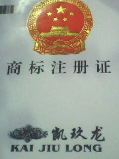 凯玖龙+图形