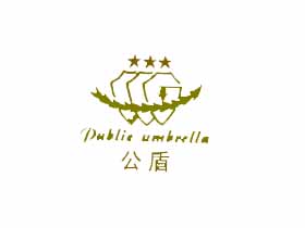 公盾+图形