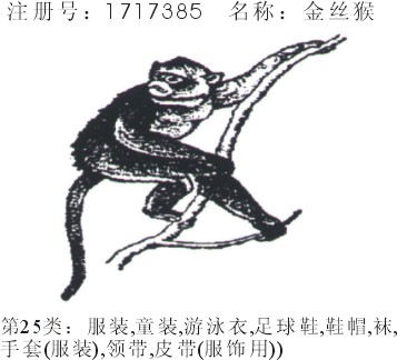 金丝猴