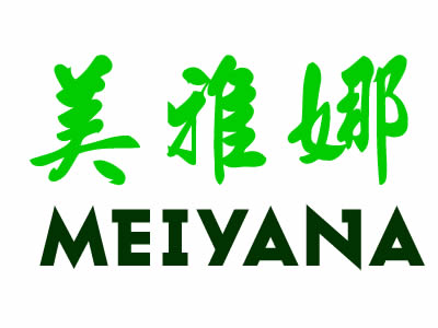 美雅娜；MEIYANA+图形